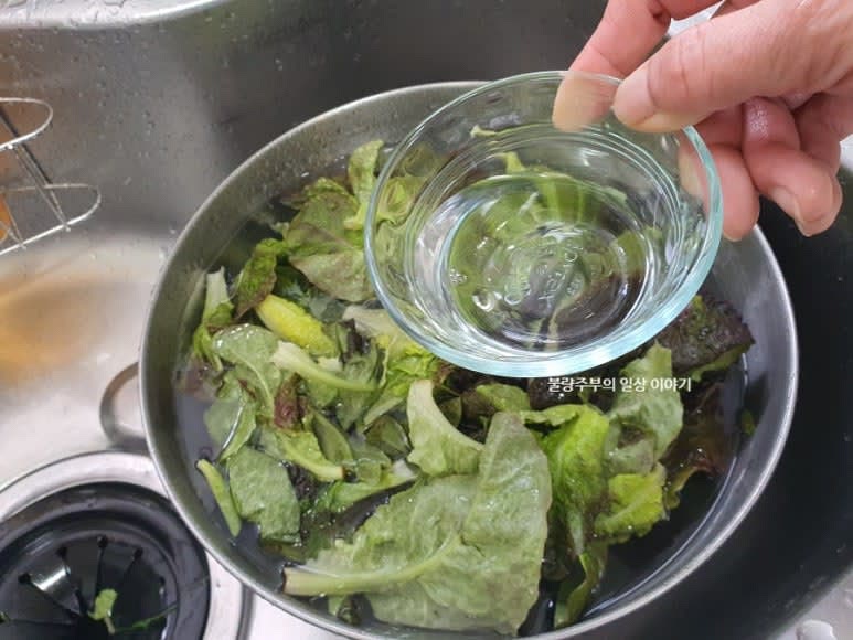 상추를 여러 번 헹궈 흙을 제거하고 찬물에 식초 0.5컵을 넣고 5분간 담가 주세요.