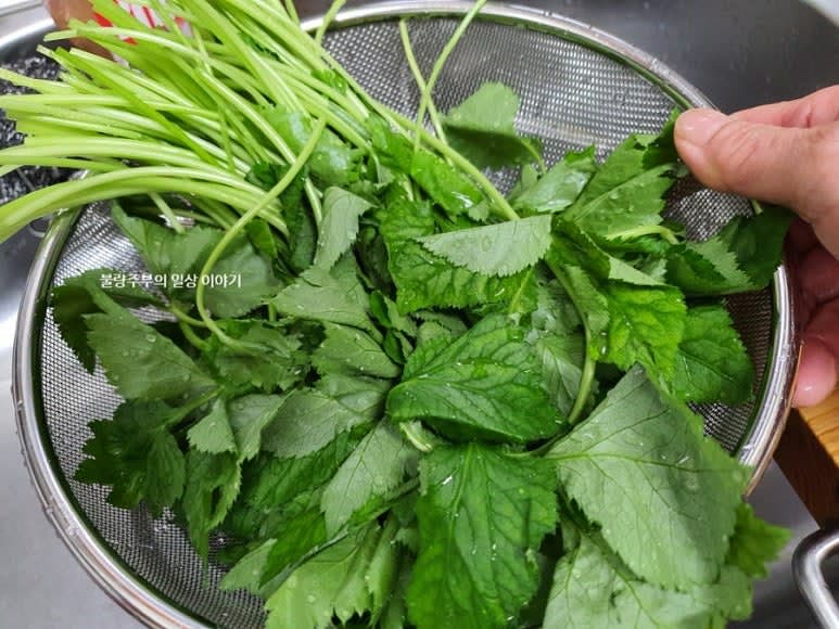 참나물을 깨끗하게 씻고 줄기 부분을 약간 잘라냅니다.