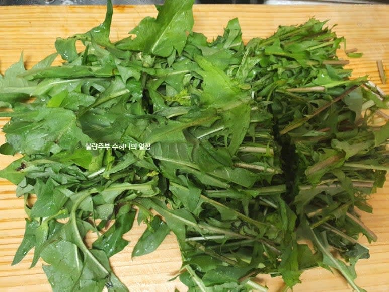 체에 받쳐둔 민들레 잎이 물기가 어느 정도 제거되면 다듬어 주고 먹기 좋은 사이즈로 잘라줍니다.