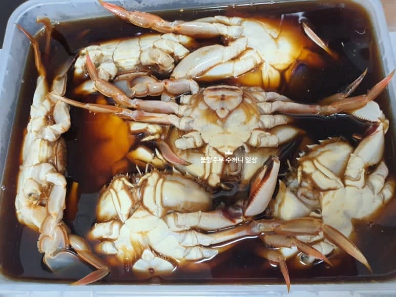 식힌 간장 육수를 깨끗이 손질한 황게에 부어줍니다.