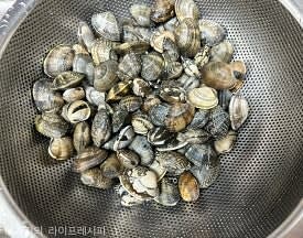 바지락을 해감해주세요