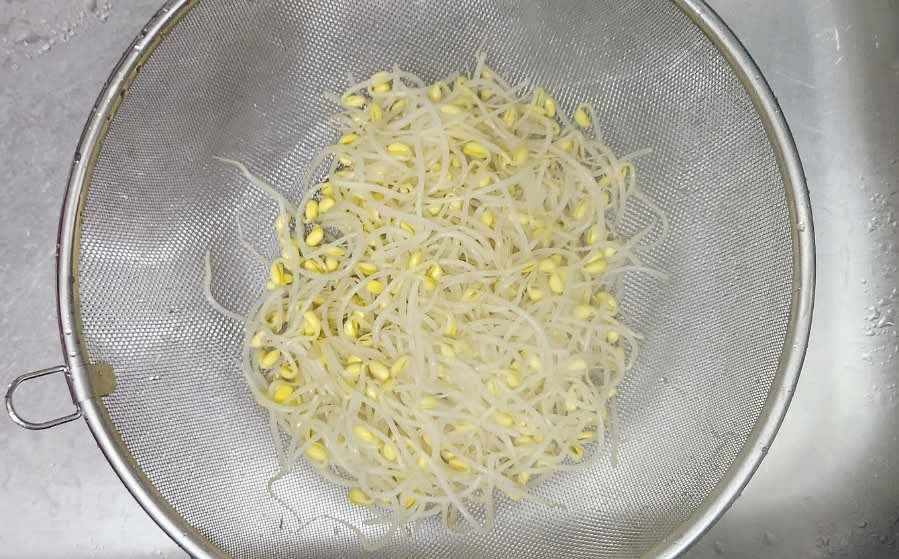 데친 콩나물을 체에 건져 식혀줍니다.