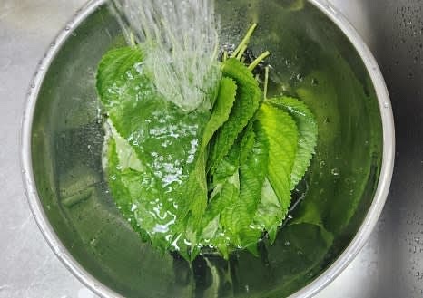 깻잎 3묶음을 깨끗하게 씻어 준비합니다.