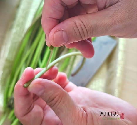 고구마줄기의 껍질을 벗기고 깨끗하게 씻어 물기를 제거합니다.