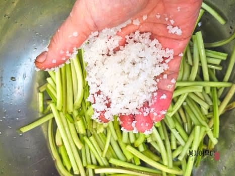 먹기 좋은 크기로 자르고 절임용 소금 1 줌을 넣고 고구마줄기를 30분 정도 절여줍니다. 절인 고구마줄기는 흐르는 물에 여러 번 세척해서 채반에 받쳐 물기를 제거합니다.