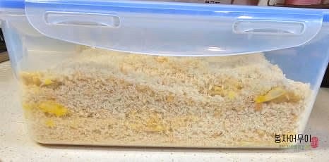 튀김가루와 빵가루를 묻힌 동태포를 냉동실에 잠시 두어 보관하고 튀기기 전에 꺼냅니다.