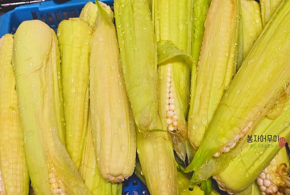 찰옥수수 15개를 깨끗이 씻어 준비합니다.