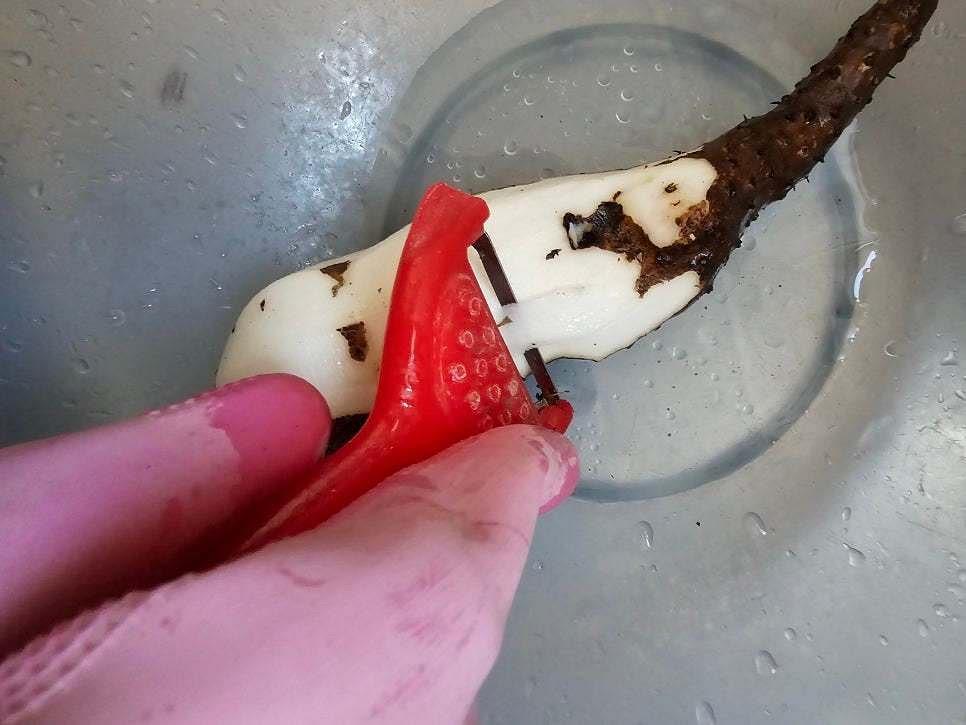 참마를 깨끗이 세척한 후 껍질을 깔끔하게 필러로 제거합니다.