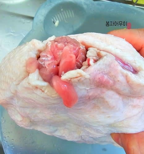 오리의 엉덩이 쪽 기름을 최대한 제거하고, 깨끗이 세척합니다.