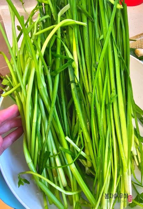 오리가 끓어지는 동안 부추와 미나리를 씻고 물기를 제거합니다. 양파, 대파는 채 썰고 청양고추는 다져줍니다.