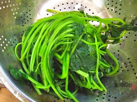 데친 참나물을 흐르는 물에 헹궈 물기를 꼭 짜줍니다.