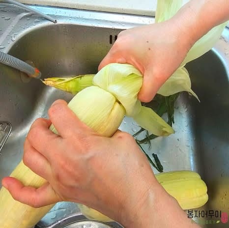 초당옥수수의 뿌리 부분을 잘라내고 흐르는 물에 세척합니다.