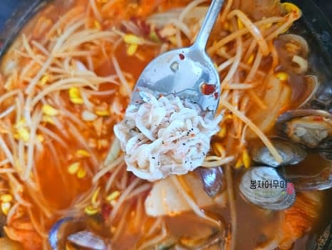 연기가 피어오르고 3분 후 뚜껑을 열고 오징어, 바지락, 양파, 고춧가루, 새우젓 1스푼을 넣어 간을 합니다.