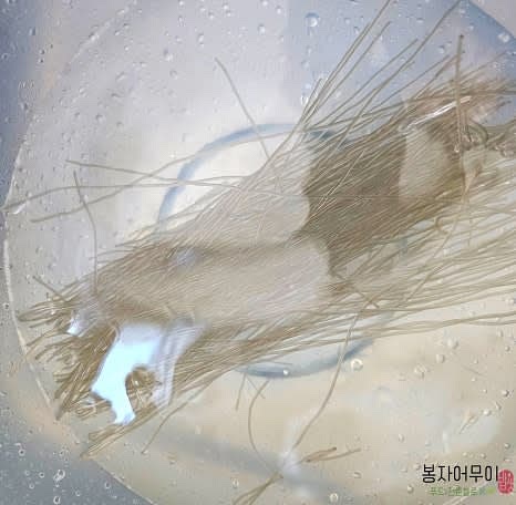 당면을 차가운 물에 1시간 동안 불려주세요. 뜨거운 물에는 20분 동안 불립니다.