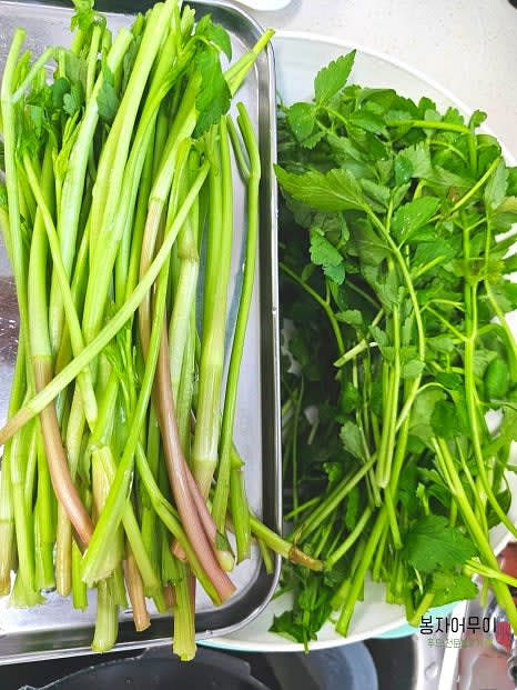 미나리를 깨끗이 씻어 줄기를 나누어 준비합니다. 물기를 잘 털어주세요.