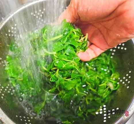 끓는 물에 소금 1스푼을 넣고 깻순을 1분간 데친 뒤 찬물에 헹궈 물기를 제거합니다.