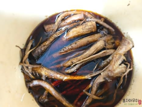 중탕된 도라지정과를 건조기에 넣고 2시간 동안 꾸덕꾸덕한 상태로 말립니다. 정과를 만들고 나오는 액은 유리병에 따로 담아두었다가 차로 마십니다.