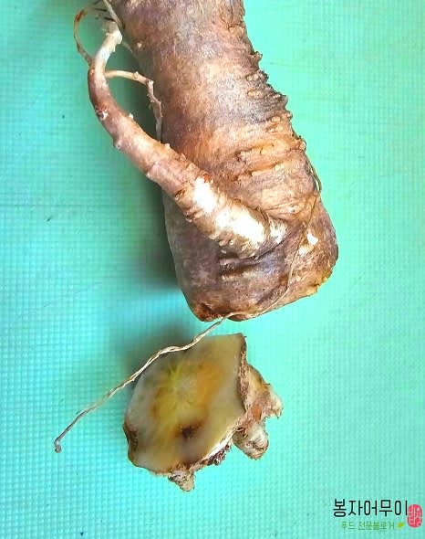 도라지의 못 먹는 부분을 제거하고 먹기 좋은 크기로 자릅니다.