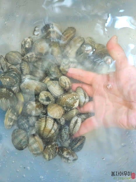 바지락은 깨끗이 씻어 둡니다.