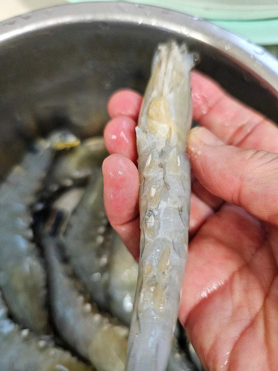 새우의 껍질을 벗기고 배 부분에 칼집을 내어 깨끗하게 손질합니다.