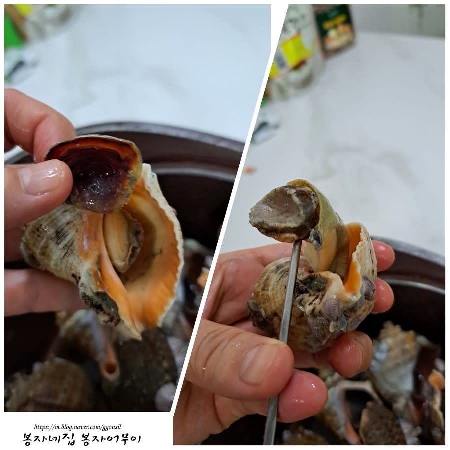 삶은 소라를 젓가락으로 돌려 뽑은 후 내장을 잘 제거해서 흐르는 물에 헹굽니다.