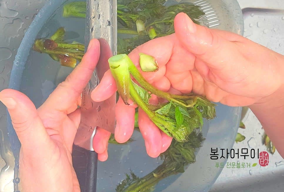 두릅을 손질하여 가시를 제거한 후 깨끗이 세척합니다. 부드러워질 때까지 제거한 후 소금 1스푼을 넣은 물에 살짝만 데쳐주세요. 30초 정도 담갔다가 건져서 바로 찬물에 헹구어줍니다.