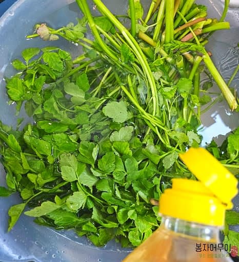 식초를 약간 넣은 물에 미나리를 담가 약 10분 정도 불순물을 제거합니다. 담가둔 미나리를 흐르는 물에 여러 번 헹구어 남아있는 이물질을 완벽히 제거합니다.