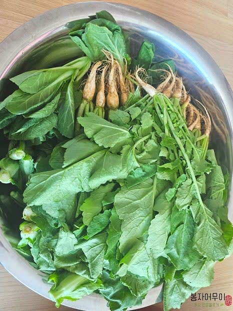 열무와 열갈이를 손질하고 깨끗이 씻어 물기를 제거합니다.