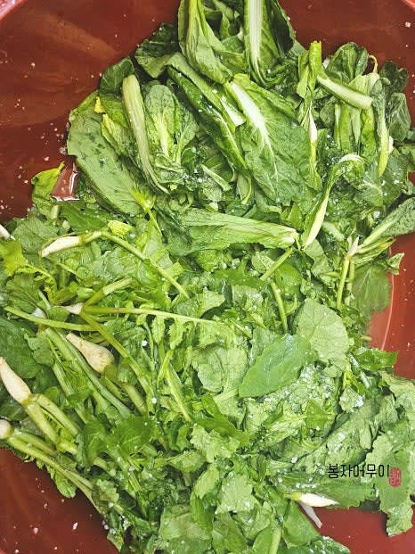 절인 열무와 열갈이를 물에 여러 번 헹궈 물기를 제거합니다.