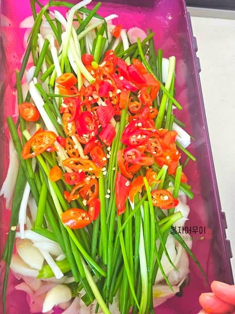 열무얼갈이 물김치를 위해 정수물과 소금을 섞어 국물을 만들고, 양파 4개와 홍고추 조금을 추가하여 국물의 풍미를 더합니다.