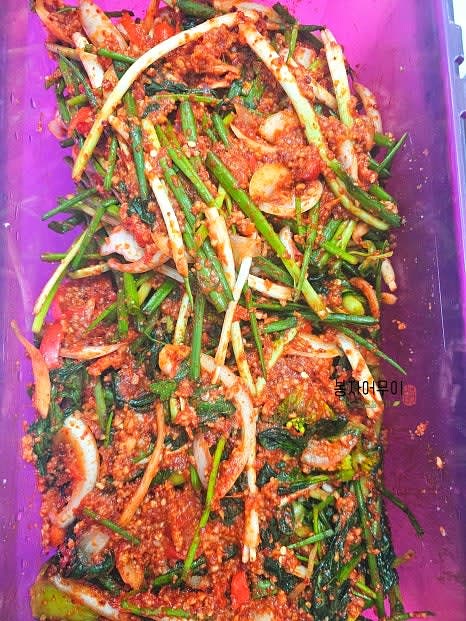 파김치를 양념에 쪽파를 버무려 숙성시킵니다.