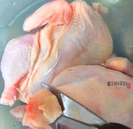 닭을 손질합니다. 날개 끝과 꽁지를 잘라내고 닭 내장을 깨끗이 제거합니다.