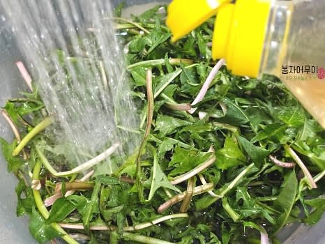 민들레를 깨끗이 세척하세요. 식초를 2~3스푼 넣은 물에 10분간 담갔다가 흐르는 물에 여러 번 헹궈줍니다.