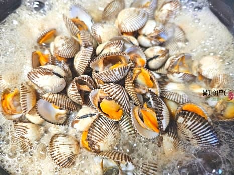 끓는 물에 꼬막과 맛술을 넣고 꼬막의 입이 벌어질 때까지 삶아 주세요.