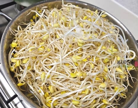 콩나물을 씻어서 소금과 함께 냄비에 넣고 뚜껑을 닫아 3분 정도 삶아 물기를 제거합니다.