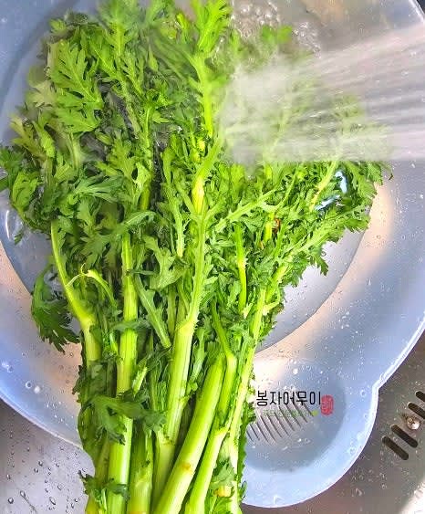쑥갓을 깨끗이 씻어가며 이물질을 제거하고, 줄기 중에서 너무 굵은 부분은 잘라줍니다.