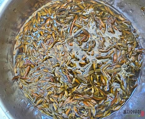 염장 톳을 찬물에 약 30분간 담가 염분을 제거합니다. (미지근한 물은 10분)