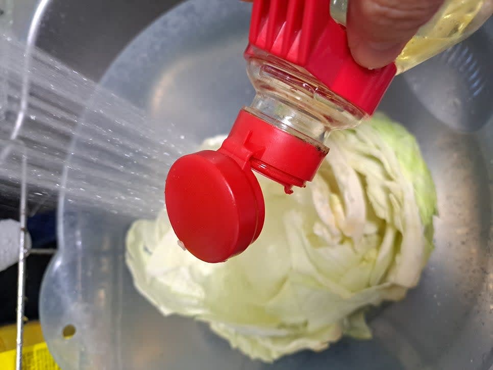 양배추 손질: 양배추를 한 잎씩 분리한 뒤 흐르는 물에 헹궈 깨끗이 씻습니다. 소금물에 10분 담갔다가 건져 흐르는 물에 다시 헹군 뒤 물기를 제거합니다.