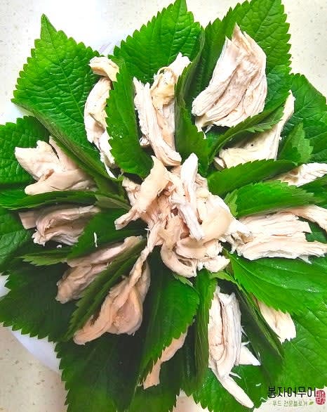 접시에 깻잎을 깔고 닭가슴살을 올려줍니다.