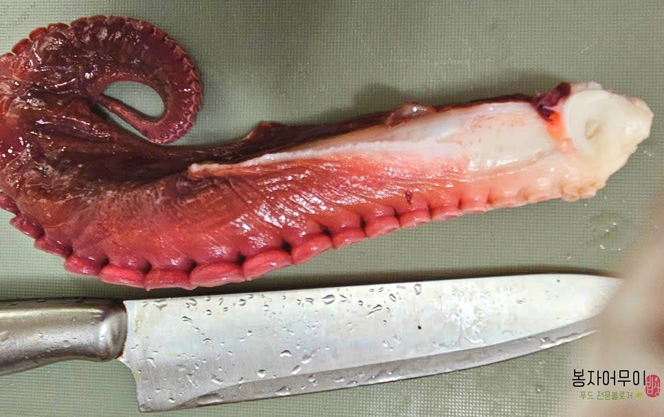 라면용 문어 다리를 깨끗이 씻고 통째로 준비합니다.