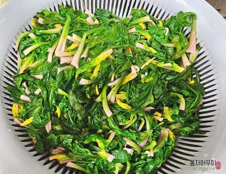 삶은 시금치는 물에 10분 정도 담가서 남은 독소를 빼고 흐르는 물에 깨끗이 여러 번 씻은 후 체반에 반쯤 눕혀 물기를 빼줍니다.