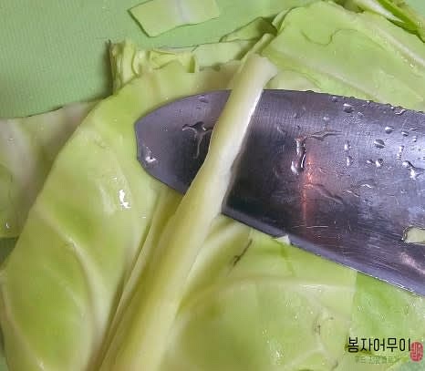 양배추의 굵은 줄기를 잘라내고 잎은 얇게 채 썬 뒤 깨끗이 씻어 준비합니다. 줄기 부분은 따로 버리지 않고 샐러드에 활용합니다.