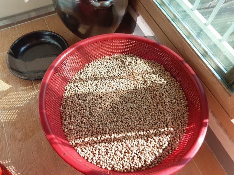 알메주를 물에 살짝 헹구어 물기를 제거합니다.