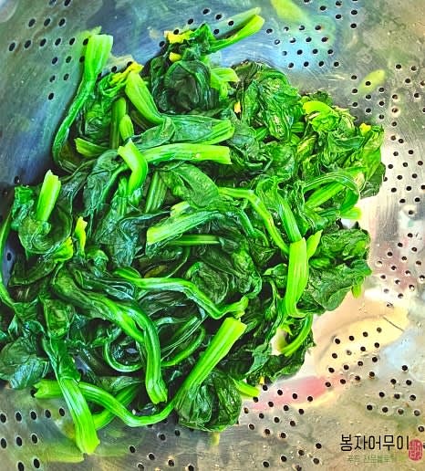 데친 시금치를 찬물에 담가 헹군 뒤 물기를 꽉 짜줍니다.