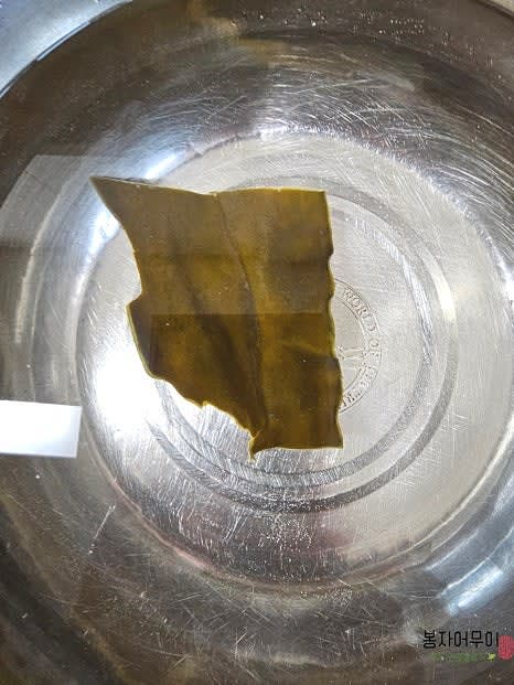 물 2L에 다시마를 넣고 준비해줍니다.