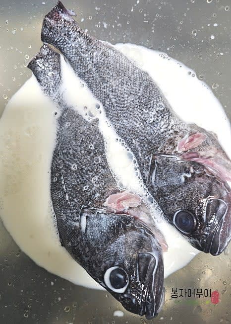 우럭의 핏물 없이 깨끗이 세척한 후 우유에 잠시 담가놔 주세요. 우유가 비린 맛을 잘 잡아줍니다.