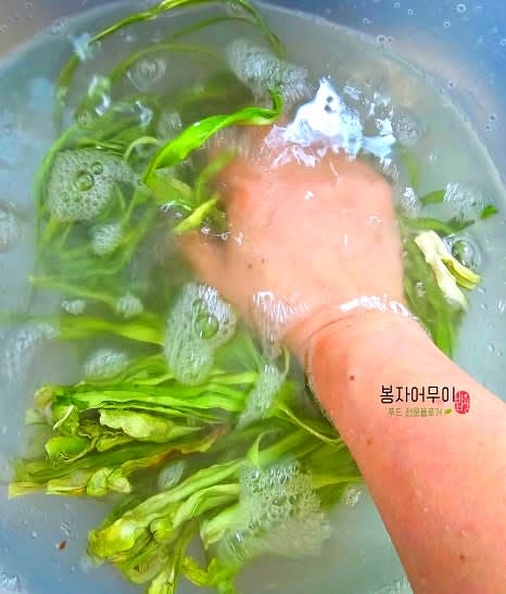 깨끗이 씻은 궁채를 큰 그릇에 담고 물을 넉넉히 부어 1시간 정도 불립니다.
