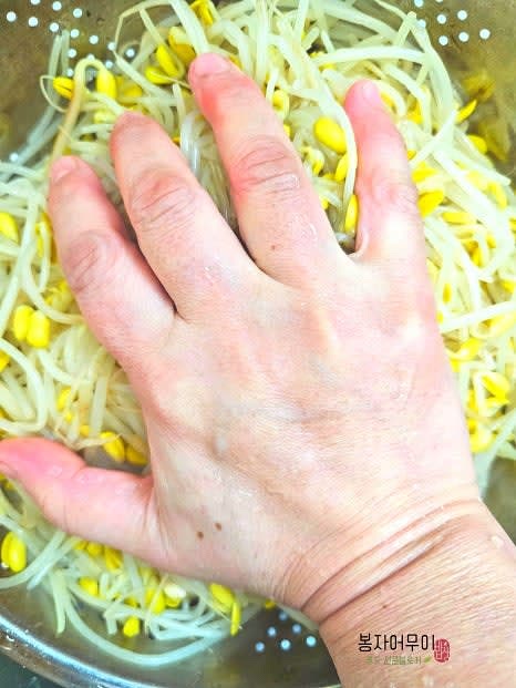 콩나물을 차가운 물에 헹군 후 물기를 꼭 눌러 짜줍니다. 혹시 물기가 더 나오듯해서 채반에 받쳐서 남은 물기도 빼줍니다.