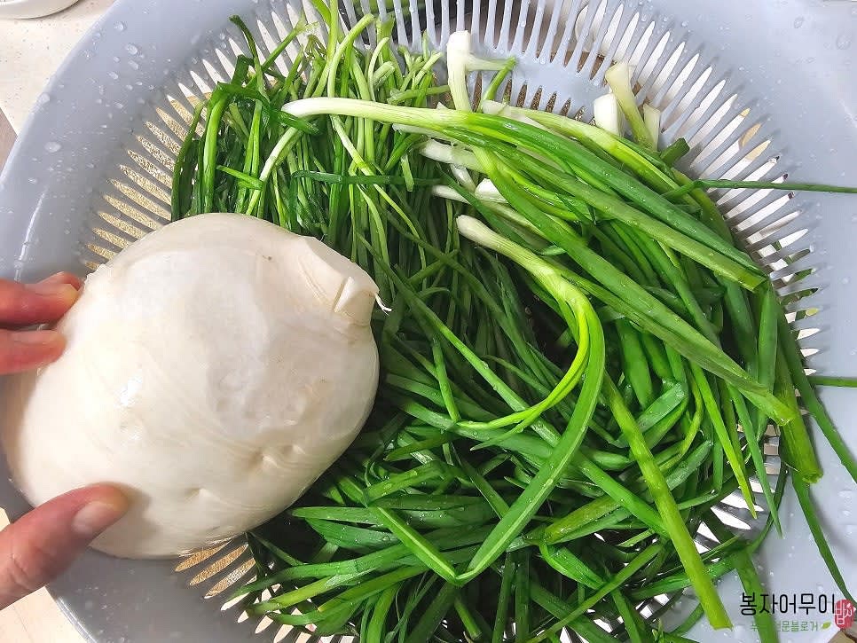 무와 쪽파, 부추를 손질하여 깨끗이 씻은 뒤 물기를 털어줍니다.