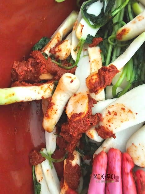 양념을 고루 섞어 알타리 위에 버무립니다.